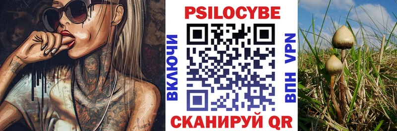 Купить где  Гагарин  Псилоцибиновые грибы прущие грибы 
